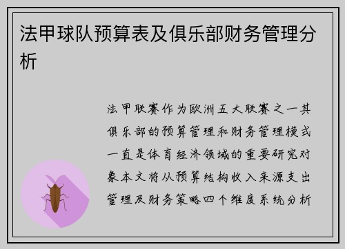法甲球队预算表及俱乐部财务管理分析